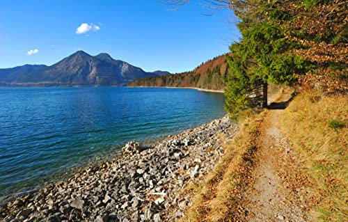 LHJOYSP 3D Puzzel Kinder 1000 Teile,Naturlandschaft,Wald,See,Bayern,Deutschland,75x50cm