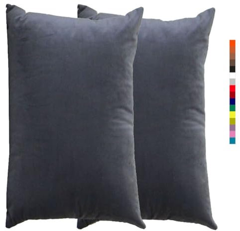 Kissenbezug 60x80 Kissen 50x70 Bezug Couch Sofa Kissenbezüge Samt 40x60,2er Set Dekokissen Bezug Blau/Grün/Grau,Pillowcase Pillow Cases 40x70, Kissen Abdeckung ( Color : 1 Grey , Size : 60x80 cm 2pcs