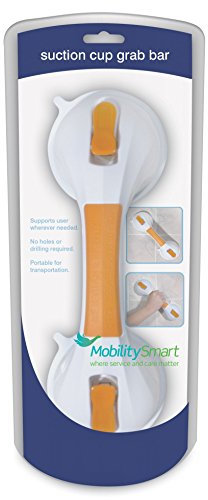 Suction Cup Grab Bar with Indicator