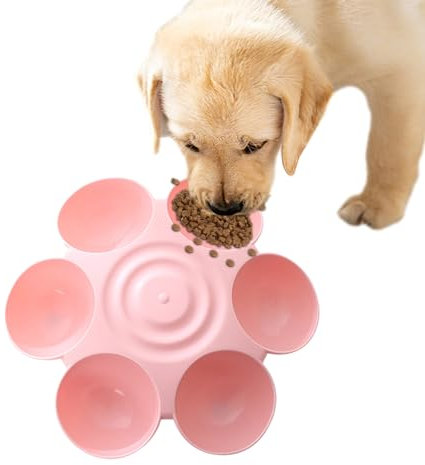 Gamelle en forme de fleur pour chat avec 6 gamelles antidérapantes de qualité pour animaux de compagnie, en forme de pétales, pour plusieurs chats d'intérieur