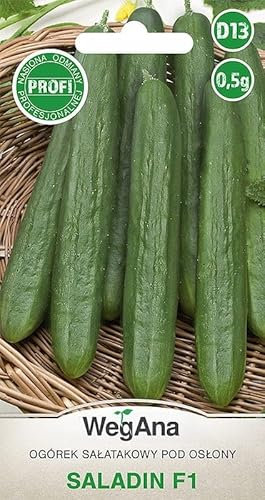 WegAna Gurke Saladin F1 Samen 0,5g Salatgurke Frühe 30 bis 35 cm Robuste Gemüsesamen Gemüse Samen Anzucht Saatgut für Gewächshaus