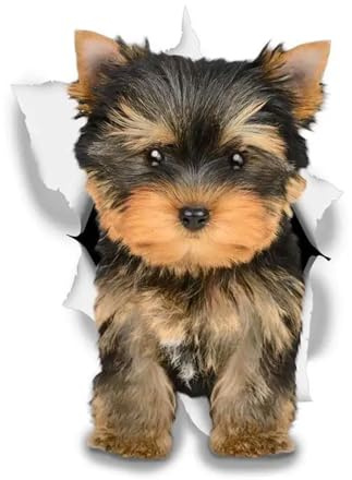 Yorkshire Terrier 3D Zerreiß-Aufkleber, Reflektierend, Wasserfest, für Auto, Laptop, Lustige Hundeaufkleber Kühlschrank und Haus Dekoration ((22cm/8.66inch))
