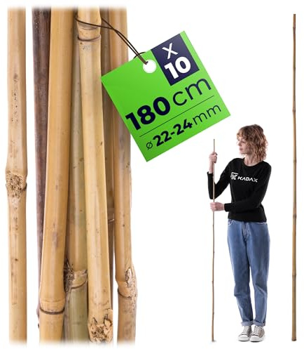 KADAX Lot de 10 tiges en bambou 180 cm x 22/24 mm - Tuteurs en bambou comme tuteur pour plantes de tomates et plantes grimpantes
