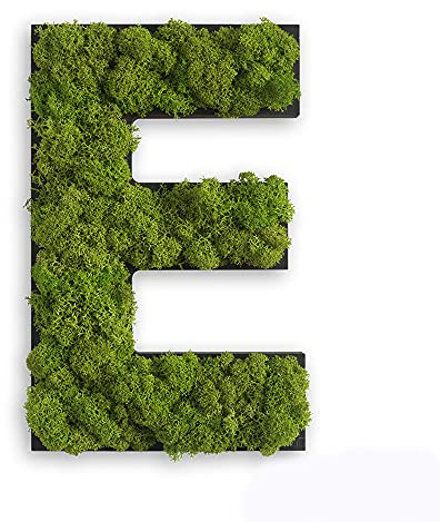 styleGREEN Piktogramm: Buchstabe E Islandmoos