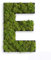styleGREEN Piktogramm: Buchstabe E Islandmoos