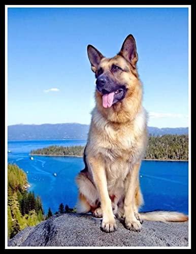 Eodyyw 5D Diamond Painting Chien De Compagnie Berger Allemand Peinture D'Art Broderie Diamant Kits Peinture Décor À La Maison 30X40Cm Sans Cadre