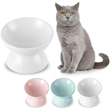 Gamelle Chat Surélevée en Ceramique - Bol Chat Sureleve Incline Anti Vomissement - Gamelle pour Grand Chat - Gamelles pour Chats Porcelaine - Bol de Nourriture pour Chat - Écuelle pour Chat - 260 ML