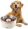 ALL FOR PAWS Stainless Steel Slow Feeder Dog Bowls, Non-Slip Heavy Duty Dog Cat Bowls Puppy Slow Feeding Dog Bowl (White, L)