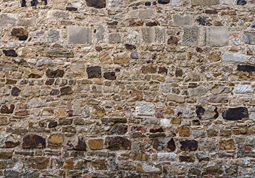 decomonkey Fototapete Steinwand Stein 400x280 cm XL Design Tapete Fototapeten Vlies Tapeten Vliestapete Wandtapete moderne Wandbild Wand Schlafzimmer Wohnzimmer Ziegel