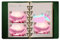 KISSKI·H Olvido Leder Journal Notizbuch, 6 Ringbuch A7 Travelers Notebook mit Wickelband, nachfüllbares Tagebuch Schreibnotizbuch Padfolio, vielseitiges Tagebuch/Planer/Skizzenbuch/Scrapbook, Grün