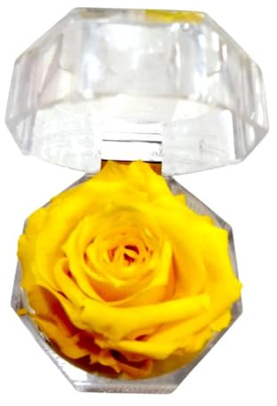 Rosa eterna Giallo in portagioie. Regalo Originale. Rosa Giallo preservata. Rosa Gialla Naturale conservata. Decorazione Elegante. Regaslo Innamorato, Compleanno, Anniversario, Festa della Mamma.