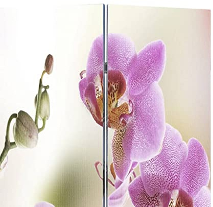 Raumteiler klappbar 120 x 170 cm mit Blume Motiv, faltbare Stellwand aus massivem Tannenholz, freistehend und blickdicht, ideal als Paravent Sichtschutz für Wohnzimmer, Büro