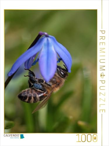 CALVENDO Puzzle Frühlingsimpression | 1000 Teile Lege-Größe 48 x 64 cm Foto-Puzzle für glückliche Stunden