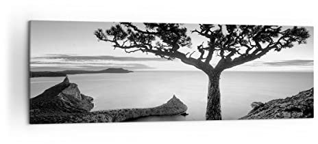 Moderne Impression sur Toile 160x50cm Image Tableau Decoration Murale Arbre Noir Et Blanc Vue Grand Tableaux Decoratifs Muraux Chambre Panoramique Deco Cadre Décoration Salon Art Wall AB160x50-4297