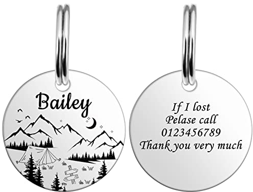 HooAMI Hundemarke mit Gravur,Runden Hundemarke Personalisiert Dog Tag mit Gravur Namensschilder Adressanhänger Hund für Hunde und Katzen(Silber,S)