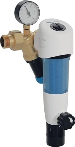 Rückspülfilter mit Druckminderer delphisXpert DFR Hauswasserfilter für Trinkwasser (DN25-1 Zoll)