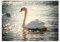 Wandtattoo, Deko-Aufkleber, 21 x 14,80 cm, Schwan auf dem See, Nr. H8519M_NS1A5