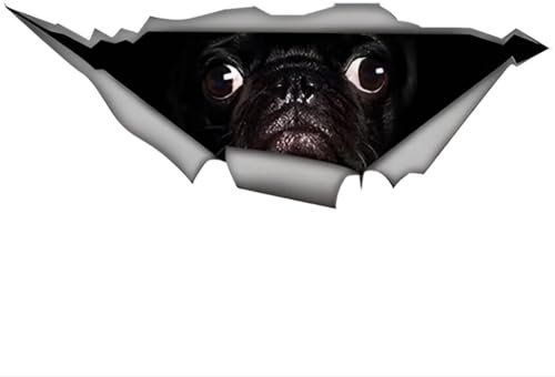 Autoaufkleber Mops Aufkleber 15cm(5.9 Inch) Black Pug Car Sticker Schwarz Mops 3D Zerrissen Reflektierende Autoaufkleber Pug Personalisiert Wasserdichte Aufkleber Laptop Heckscheibe Dekor