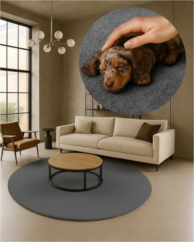TEXMAXX Weicher Kurzflor Teppich Wohnzimmer mit rutschhemmender Rückseite (180 x 180 cm Rund) - Modern für Flur, Esszimmer und als Schlafzimmer Teppich in Grau - Waschbar bis 30 Grad