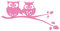 kleb-Drauf | 1 Eulenpaar | Rosa - glänzend | Wandtattoo Wandaufkleber Wandsticker Aufkleber Sticker | Wohnzimmer Schlafzimmer Kinderzimmer Küche Bad | Deko Wände Glas Tür Fenster Fliese