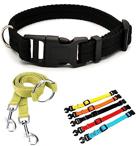 : GaoBangM Nylon Dog Collar, 1 Pcs Collar+1 Pcs Double Lock Pet Traction Rope, Suitable for Small and Medium Dogs, Leads for Dogs Training