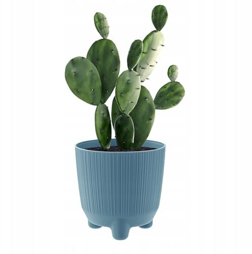 B2C Plant Pots Indoor Outdoor Plastic Flowerpot Small Medium Large RYFO 6 Colours (Scandinavian blue, 17cm)
