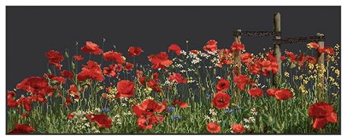 Thea Gouverneur - Counted Cross Stitch Kit - Poppies - Aida Black - 18 Count - Embroidery Kit for Adults - DMC Embroidery Threads and Other Cross Stitch Supplies Included - 546.05