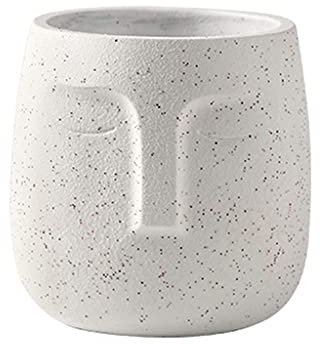 WZTHLF Flower Plant Pots Indoor,Nordic Human Face Ceramic Vase Flowerpot Succulent Green Plant(White,14cm)