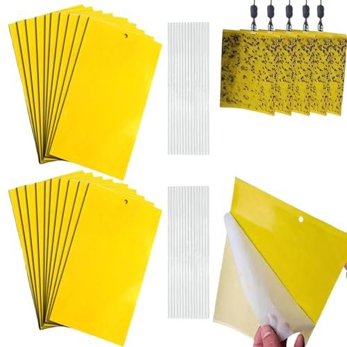 Gialle per Insetti, Trappole Appiccicose 50 Pezzi 10cm x 20cm MoscheTrappola Trappola per Insetti per Mosca Bianca,Mosca della Frutta,Afidi,Minatori Fogliari,Cicaline