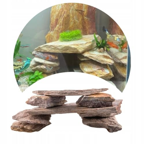 TD STONES Aquarium Schiefersteine Mehrfarbig 5 kg – Strukturierte Natursteine Deko für Aquascaping, Rückwand & Höhlen – Terrarium Zubehör – Handverlesen, Wasserneutral, Sofort Einsetzbar, Bunt