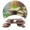 TD STONES Aquarium Schiefersteine Mehrfarbig 5 kg – Strukturierte Natursteine Deko für Aquascaping, Rückwand & Höhlen – Terrarium Zubehör – Handverlesen, Wasserneutral, Sofort Einsetzbar, Bunt