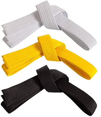 Century Kampfsportgürtel Doppelbindung Budogürtel Judo Karate Taekwondo Gürtel für Erwachsene (7 (330 cm), weiß)