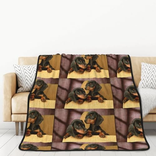 BEEOFICEPENG Decke, 60x80 Zoll doppelseitige Decke Reisedecke weiche Decke für Schlafsofa,Dackelwelpen, Haustiere, Hunde, Kleiner Dackel
