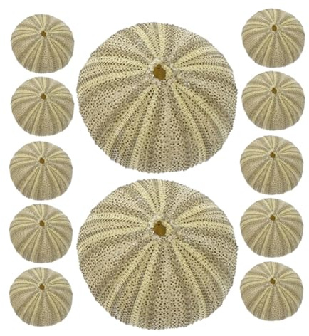 Hoement Coquilles d'oursins naturels 18 pcs pour décoration d'aquarium et Bricolage, coquilles d'oursins de Plage, Remplissage de Vase, Ornements paysagers pour Aquarium, Usage Maison et