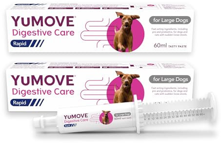 YuMOVE Digestive Care Rapid, Dog Pre and Probiotic Paste for Gut Health, Digestive Supplements with Fast-Acting Ingredients for Large Dogs, 2 x60ml