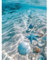 HEIBAGO Muscheln 5D Diamond Painting, Meer Full Drill Diamant Painting Sets Für Erwachsene Anfänger, DIY Cross Embroidery Diamant Kunst Landschaft Diamond Art Bilder Für Home Wand Dekor 30 * 40cm