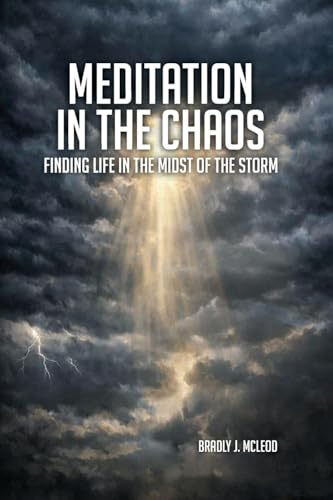 Meditation In The Chaos
