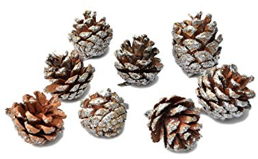 Helmecke & Hoffmann 8er Set Glitzer-Tannenzapfen echte Zapfen Adventskranzdeko Weihnachtsdeko Baumdeko (Silber)