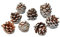 Helmecke & Hoffmann 8er Set Glitzer-Tannenzapfen echte Zapfen Adventskranzdeko Weihnachtsdeko Baumdeko (Silber)