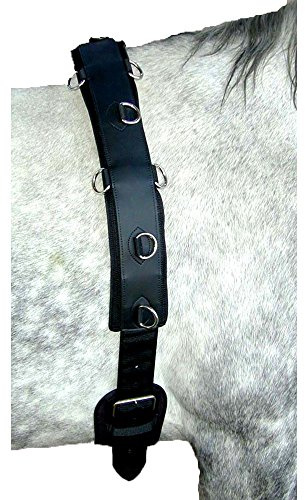 Intrepid International Professional Neoprene Training Surcingle for Horses and Ponies - Quality, Durability, and Comfort for Ground Driving Horses