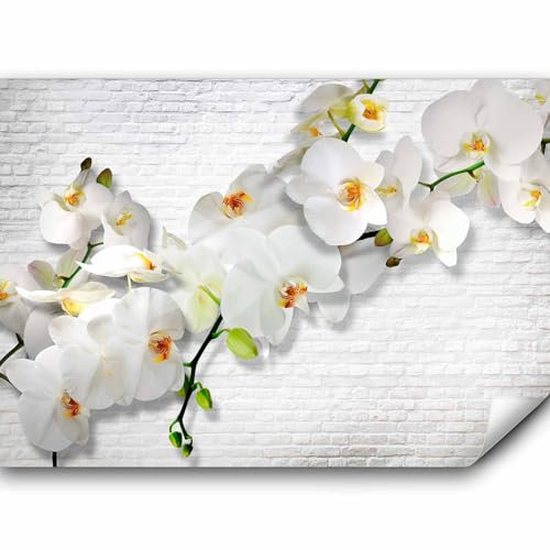 Fototapete murando 350x256 cm Vlies Tapeten Wandtapete XXL Moderne Wanddeko Design Wand Dekoration Wohnzimmer Schlafzimmer Büro Flur Mauer Ziegel Blumen Orchidee b-A-0089-a-b