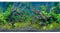 AWERT 48x18 inches Tropical Fish Tank Background River Bed & Lake Aquatic Plant Undersea Tree Branch Aquarium Background Vinyl