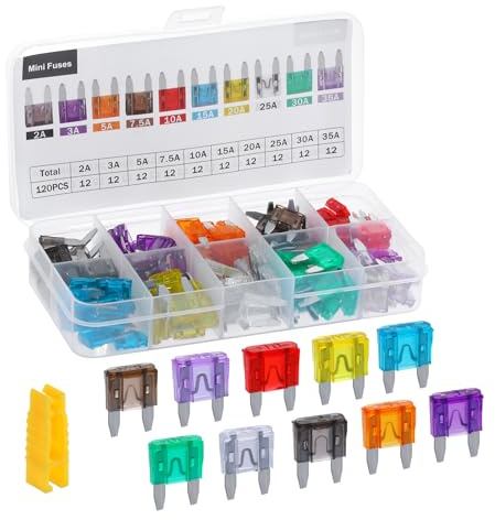 LLEZZA 120 Pieces Mini Fuse Kit, Car Fuses Assortment Kit -Mini Size(2A/3A/5A/7.5A/10A/15A/20A/25A/30A/35A), Fuses Automotive kit for Cars, Trucks, Motorcycle, Camper, SUV