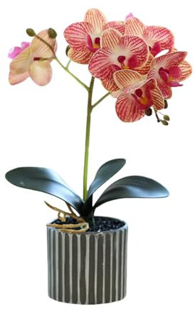 Künstliche Orchidee mit Acht Blütenköpfen im Topf, Weiße Orchideen im Topf, Künstliche Orchidee mit Blumentopf, Dekoration für Badezimmer und Schlafzimmer (Striped Pink)