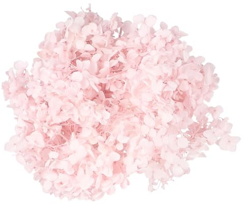 ULTECHNOVO 1confezione Pacco Ortensia Essiccati Naturali Fiori Per Decorazioni Te Per Matrimoni e Feste Tonalità Rosa
