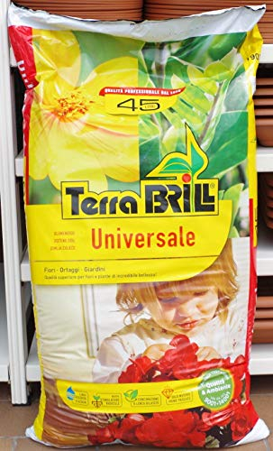 BRILL TERRICCIO Universale di QUALITA RISERVA d'Acqua in Confezione da 45 LT