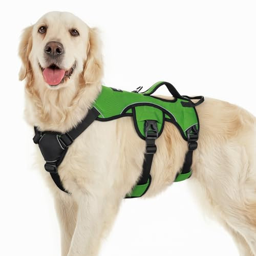 rabbitgoo Escape-Proof Dog Harness Large Dog with Handle, Anti-Pull Reflective Working Service Pets Vest, Breathable Pets Vest 3 Points, Adjustable Lift Support Body Harness Outdoor, L, Green