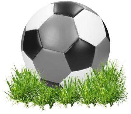Fußball 'Champion' - Ball für Kinder & Erwachsene als Geschenk - Größe 5 perfekt zum Tore schießen - Ball für das Training Indoor & Outdoor - ideal als Geschenkidee, Farbe:mehrfarbig