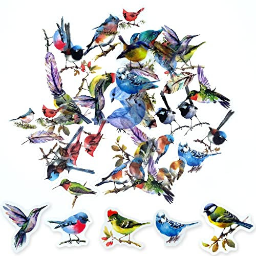 ExceLife Retro Fly Bird Stickers Set, Self-Adhesive PET Transparent Waterproof Animal Bird Stickers for Scrapbooking, Journal, Album, Phone Case, Laptop, Card Making, 40Pcs (Fly Bird)