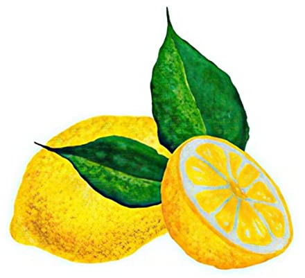 ZMHZMY Peinture par Numero Kit Fruits Citron DIY Peinture Numero pour Adultes avec 3 pinceaux et Peintures Acryliques 40x50cm sans Cadre